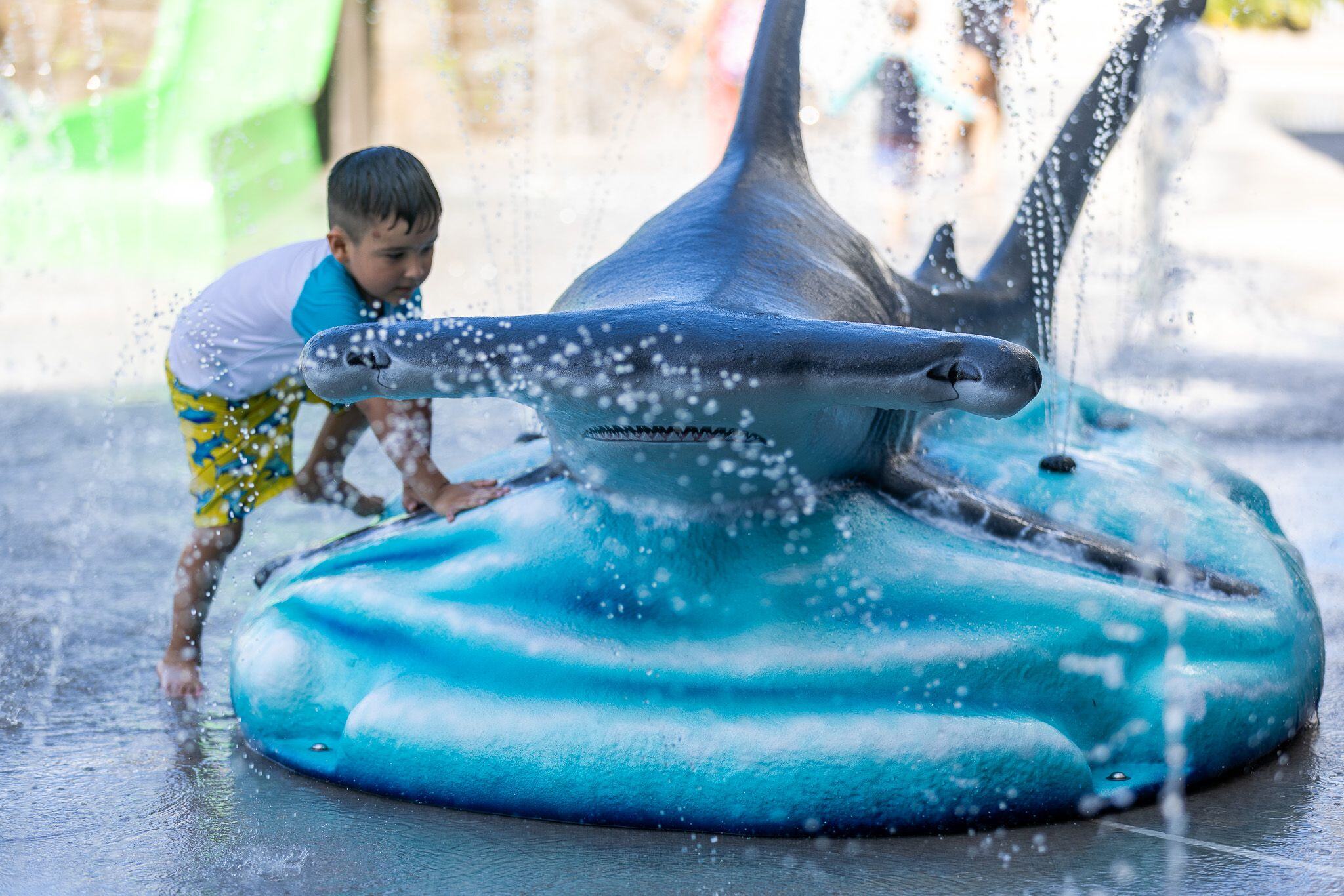 HEB Splash Park Texas State Aquarium